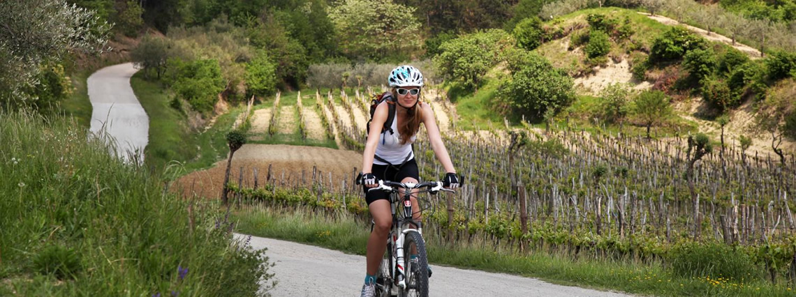 Cycling Tour of Istria